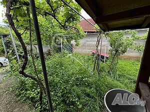 image_10