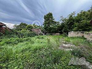 image_11