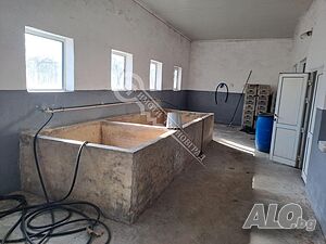image_9