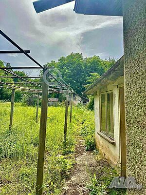 image_12