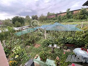 image_12
