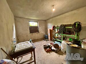 image_11