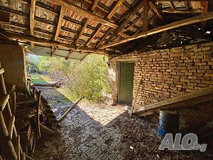 image_15
