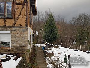 image_11