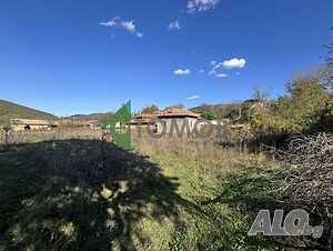 image_11
