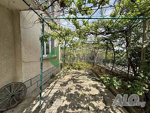 image_5