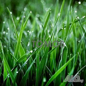 Земеделска земя с лице към главен път в близост до село Бъдеще