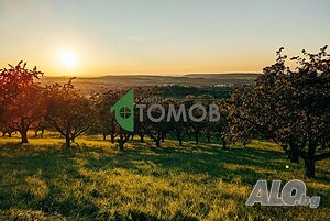 Овощна градина в село Тракия