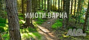 image_3
