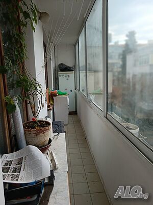 image_5