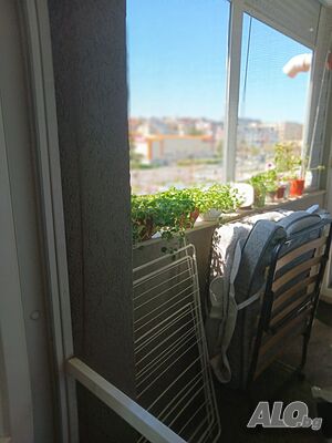 image_7
