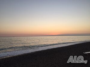 image_11