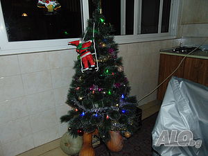 image_10