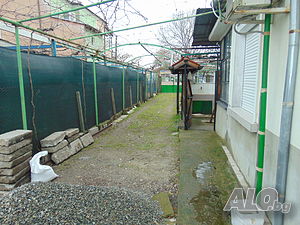 image_9