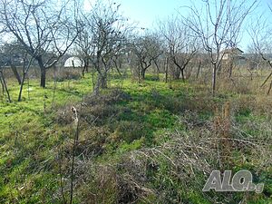 image_6