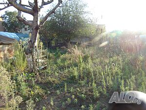 image_11