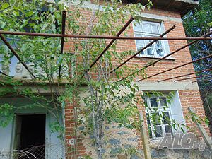image_11