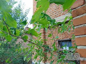 image_12