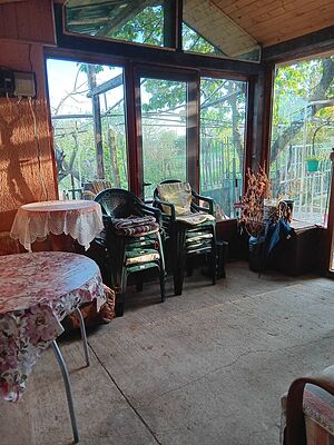image_11