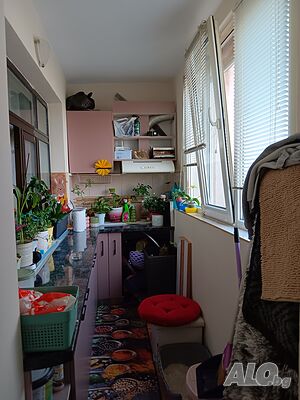 image_6