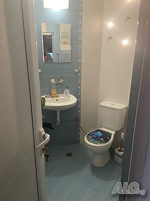 image_11