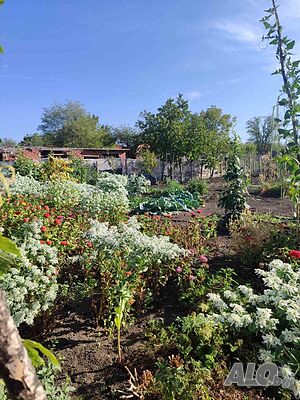 image_13