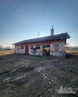 image_9