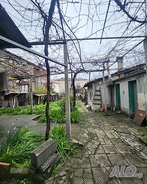 image_6