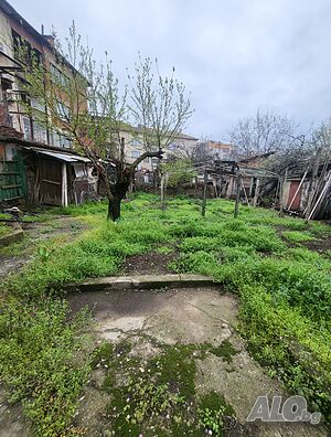image_8