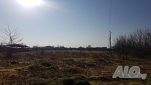 image_3