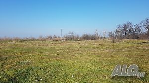 image_7