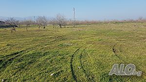 image_9