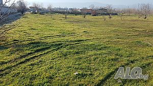 image_10