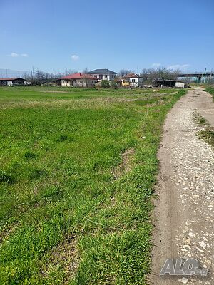image_2