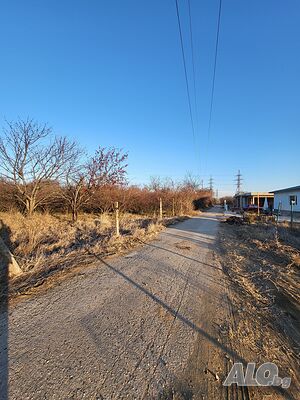 image_7