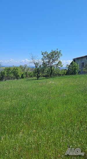 image_2