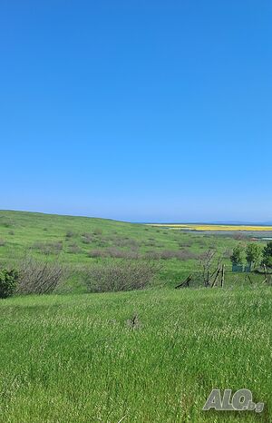 image_3