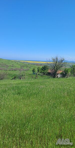 image_5
