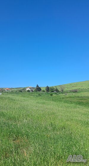image_6