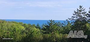 image_11