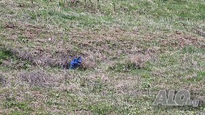 image_6