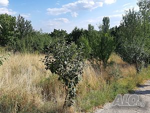 Парцел в регулация в кв. Куба, град Хасково