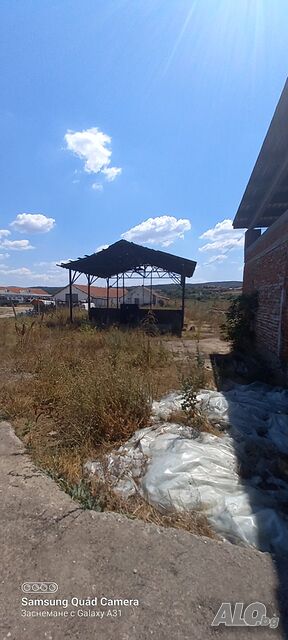 image_5
