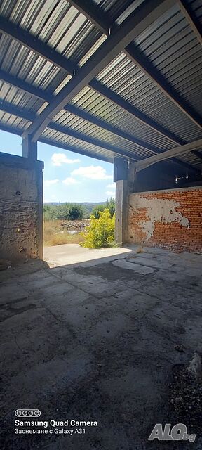 image_7