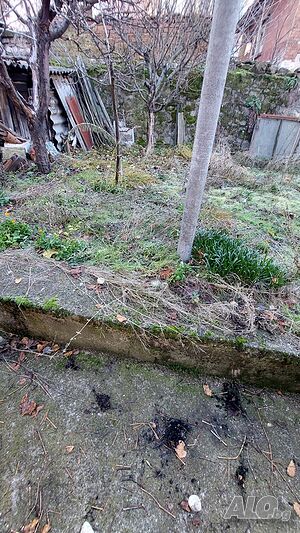 image_11