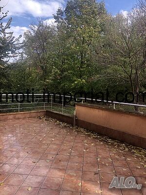 image_11
