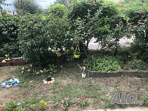 image_11