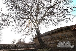 image_15