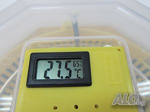 image_6