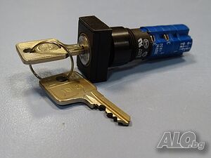 бутон с ключ RAFI 1.15108 keylock switch 250V AC 4A